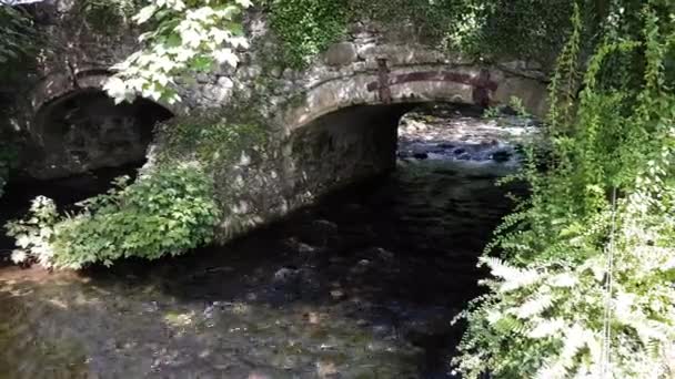 Images Ruisseau Coulant Sous Pont Pierre — Video