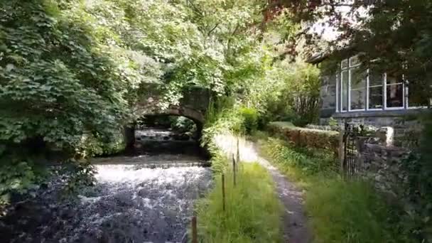 Marcher Long Sentier Avec Ruisseau Pont Avant — Video