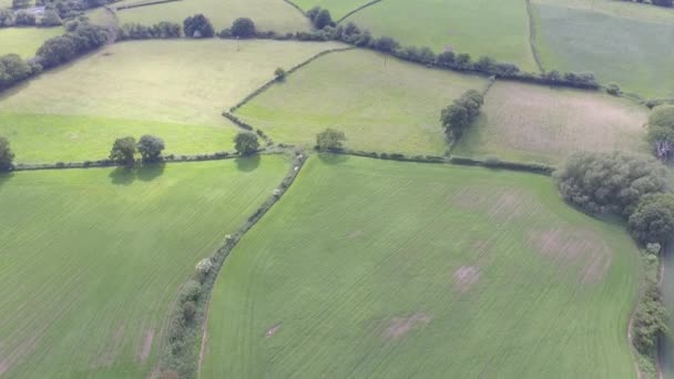 北ウェールズのウェールズの農場の土地の上に降りてくる空中映像 — ストック動画