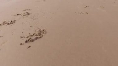 İngiltere, Galler 'deki Barmouth plajında hızlı hareket eden düşük seviyeli görüntüler..