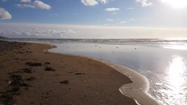 Sandy Sea Shore Small Waves Sun Reflecting Water — Stock Video