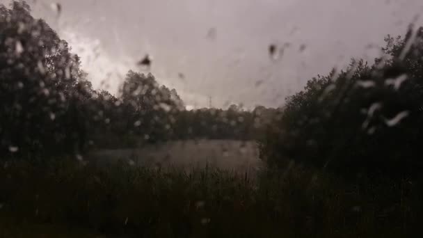 Close View Window Very Heavy Rain Pond — Stock Video