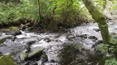 Kaya ve kayaların üzerinden akan akarsu.