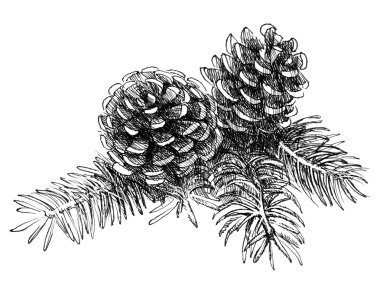 mürekkeple çizilmiş süper