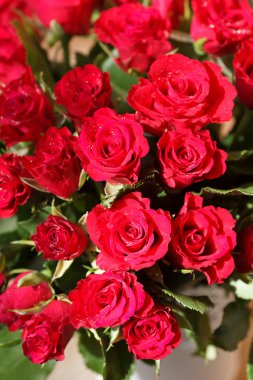 Bir vazoda kırmızı gül buketi