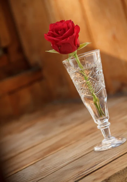 Red rose in a glass vase. Rose in the water. Flowers in a glass. Wooden table. Vase on the table.