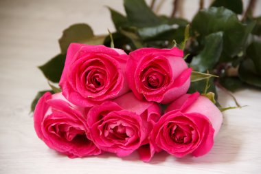 Festival hafif bir arka plan üzerinde yalan koyu kırmızı gül buketi