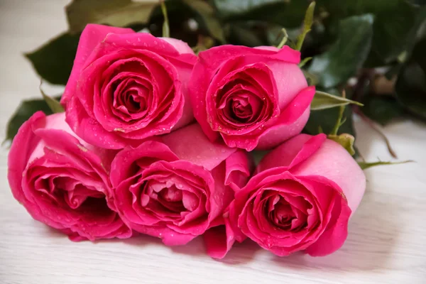 Ramo festivo de rosas carmesí sobre un fondo claro — Foto de Stock