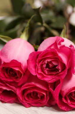 Festival hafif bir arka plan üzerinde yalan koyu kırmızı gül buketi