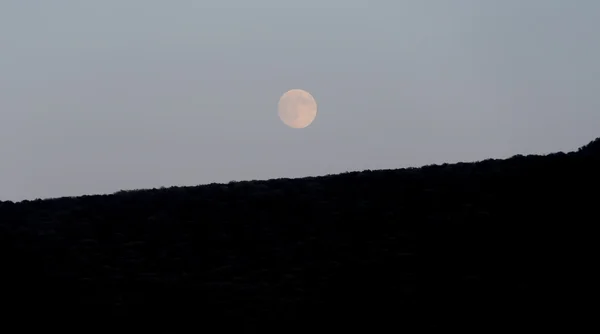 A lua grande brilha sobre a montanha. Boa noite. — Fotografia de Stock