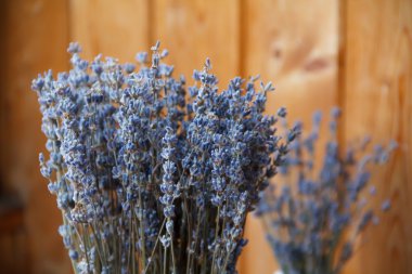 Penceresinde bir vazoda lavanta çiçekleri vardır