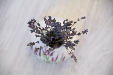 Penceresinde bir vazoda lavanta çiçekleri vardır