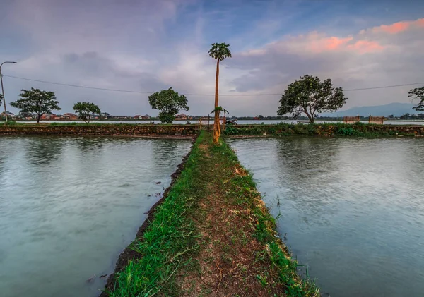 Cikoneng-Bandung şehrinde sulama ve göl arasındaki yol. 