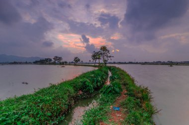 Cikoneng 'deki sulama ve göl arasındaki yol - Bandung.