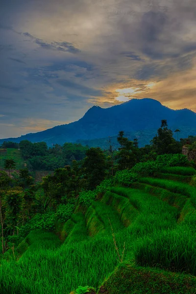 Manglayang Dağı 'nın güzel manzarası ve günbatımında bahçeler ve pirinç tarlaları. Uzun pozlama, seçici odak.
