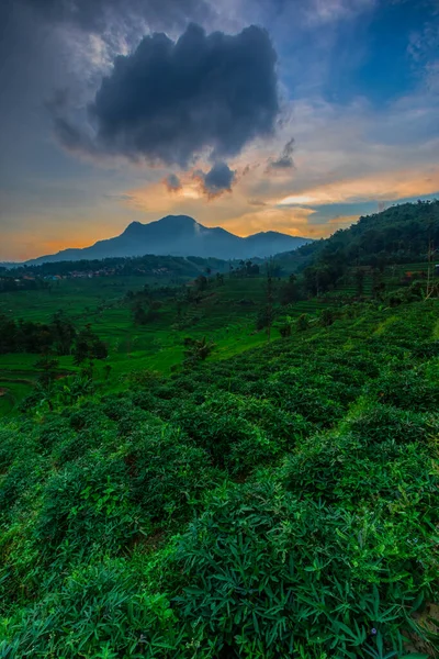 Manglayang Dağı 'nın güzel manzarası ve günbatımında bahçeler ve pirinç tarlaları. Uzun pozlama, seçici odak.