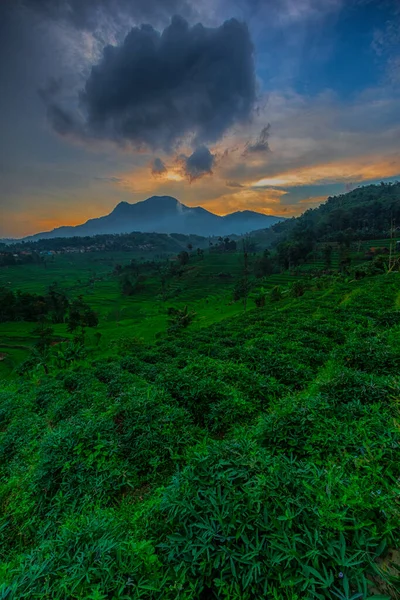 Manglayang Dağı 'nın güzel manzarası ve günbatımında bahçeler ve pirinç tarlaları. Uzun pozlama, seçici odak.