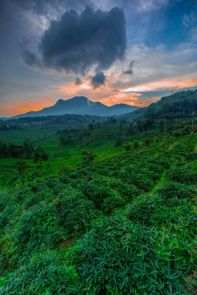 Manglayang Dağı 'nın güzel manzarası ve günbatımında bahçeler ve pirinç tarlaları. Uzun pozlama, seçici odak.