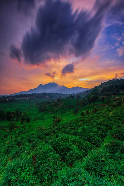 Manglayang Dağı 'nın güzel manzarası ve günbatımında bahçeler ve pirinç tarlaları. Uzun pozlama, seçici odak.