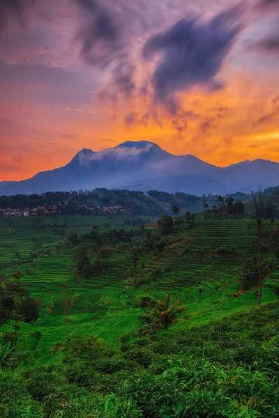 Manglayang Dağı 'nın güzel manzarası ve günbatımında bahçeler ve pirinç tarlaları. Uzun pozlama, seçici odak.
