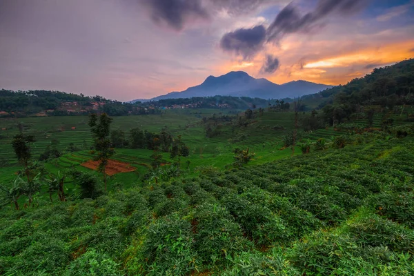 Manglayang Dağı 'nın güzel manzarası ve günbatımında bahçeler ve pirinç tarlaları. Uzun pozlama, seçici odak.