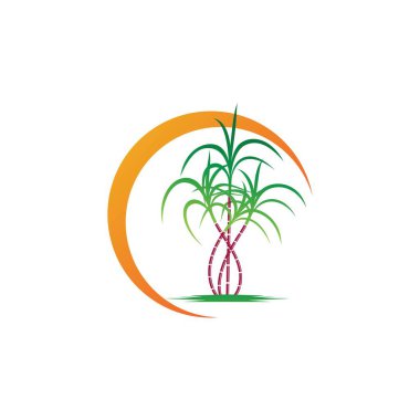 Sugarcane logo and symbol vector Sugarcane logo and symbol vector