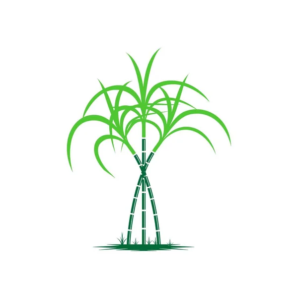 Logo Simbolo Della Canna Zucchero — Vettoriale Stock
