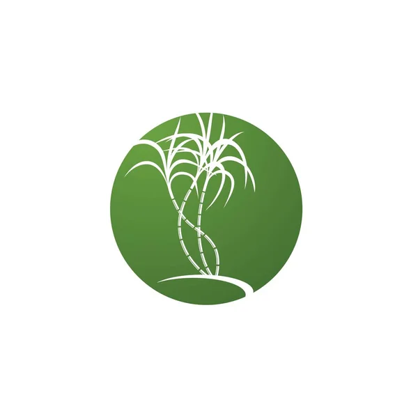 Logo Symbol Trzciny Cukrowej — Wektor stockowy