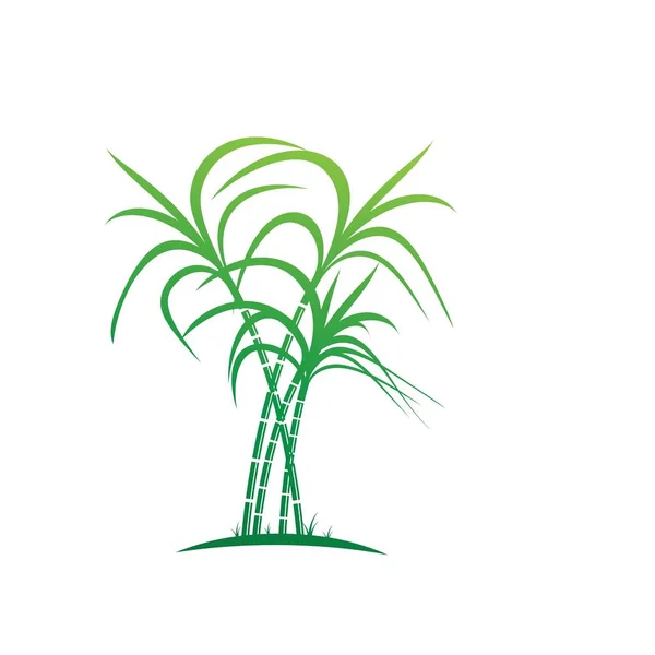 Logo Und Symbol Des Zuckerrohrs — Stockvektor