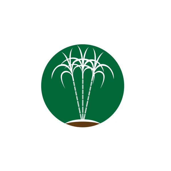 Logótipo Símbolo Cana Açúcar —  Vetores de Stock