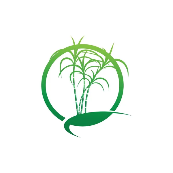 Logo Symbol Trzciny Cukrowej — Wektor stockowy