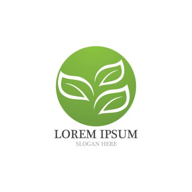  Yaprak logosu ve simge doğa element vektörü