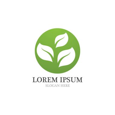  Yaprak logosu ve simge doğa element vektörü