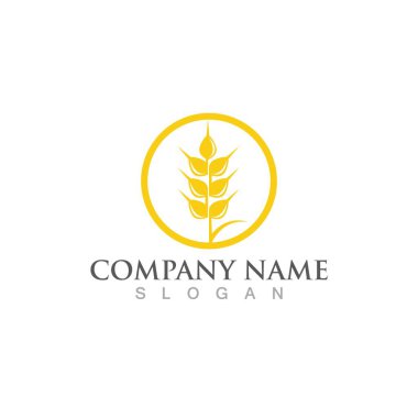  buğday vektör simgesi tasarımı 