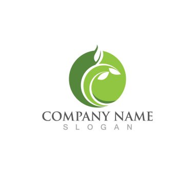 Yeşil yapraklı ekoloji doğa element vektörü