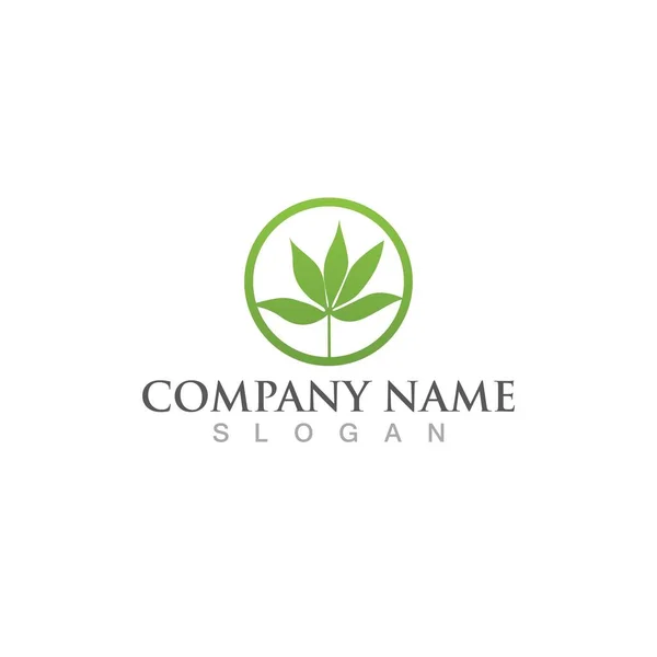 Cannabis Logo Symbol Vector — Stock Vector