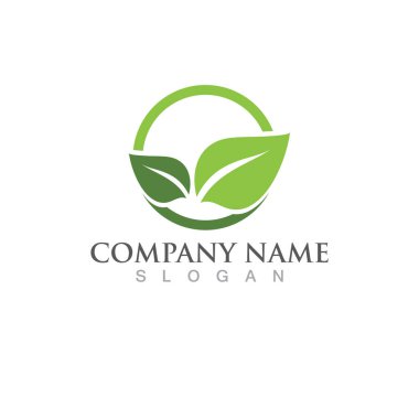 Yeşil ağaç yaprağı ekoloji doğa elementi vektörü logoları