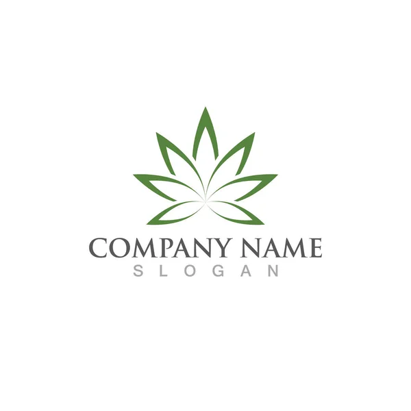 Kenevir Yaprağı Doğa Logo Vektörü — Stok Vektör