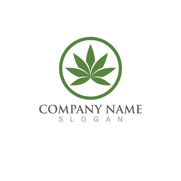 Kenevir Yaprağı Doğa Logo Vektörü — Stok Vektör