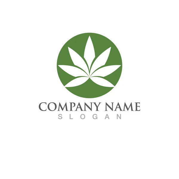 Cannabis Leaf Nature Logo Vector — Stock Vector