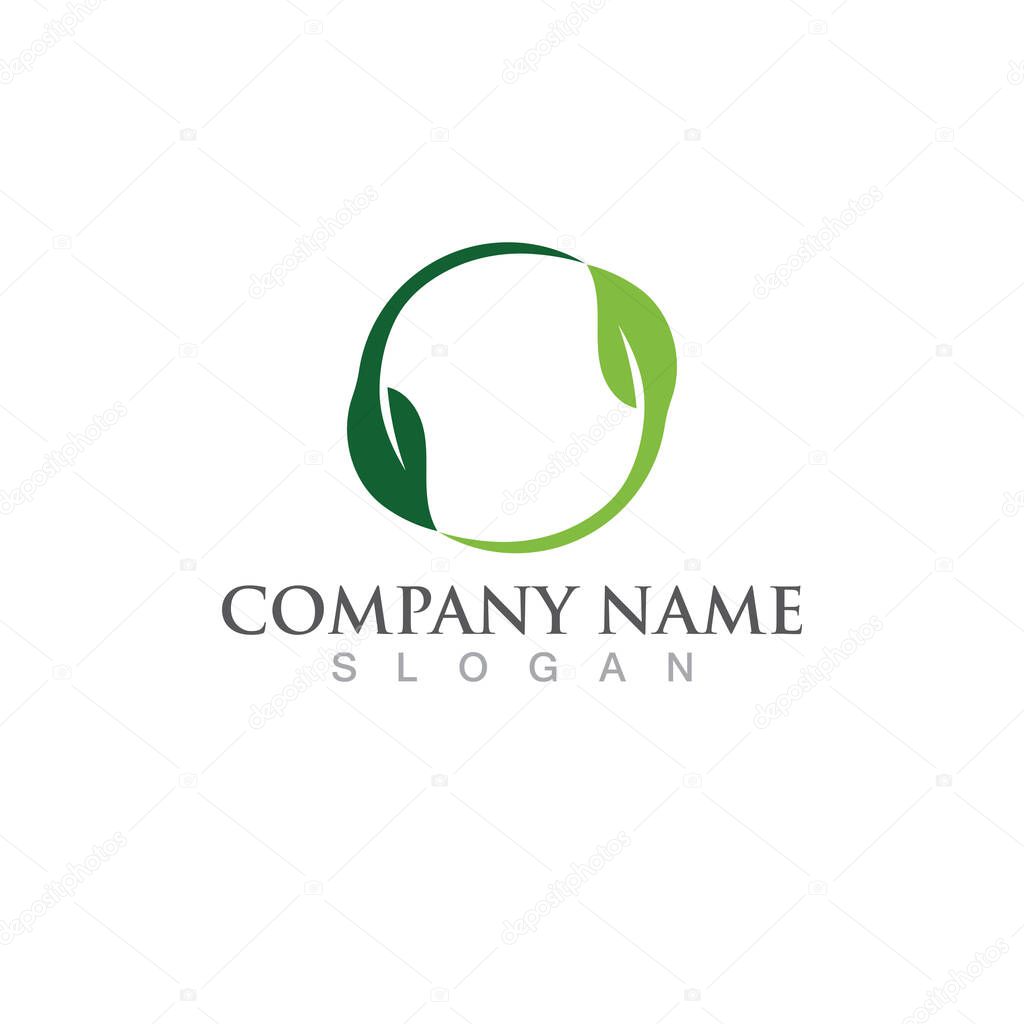 Logos of green Tree leaf ecology nature element vector