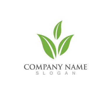 Yeşil yaprak ekoloji doğa eleman vektör logolar
