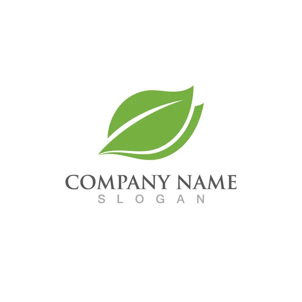 Logos Ecologia Folha Verde Elemento Vector Natureza —  Vetores de Stock