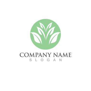 Yeşil ağaç yaprağı ekoloji doğa elementi vektörü logoları