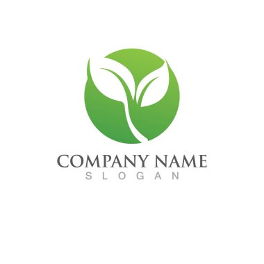 Yeşil ağaç yaprağı ekoloji doğa elementi vektörü logoları