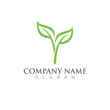  Yeşil Ağaç element vektörünün yaprak ekolojisi logoları