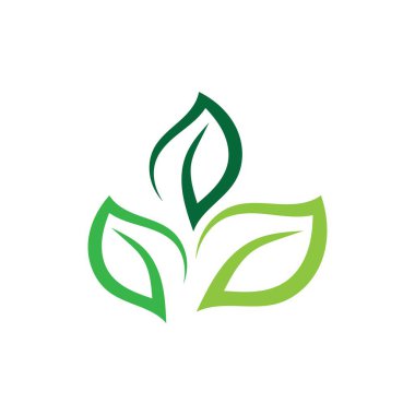 Yeşil yapraklı ekoloji doğa element vektörü