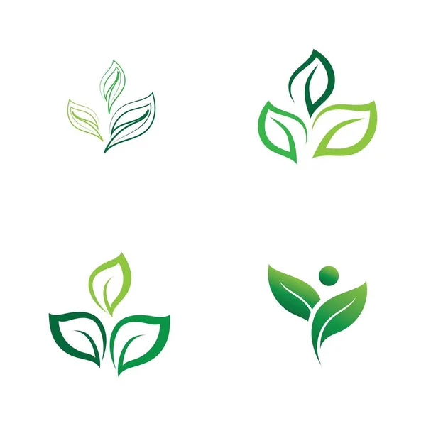 Hoja Verde Ecología Naturaleza Elemento Vector — Vector de stock