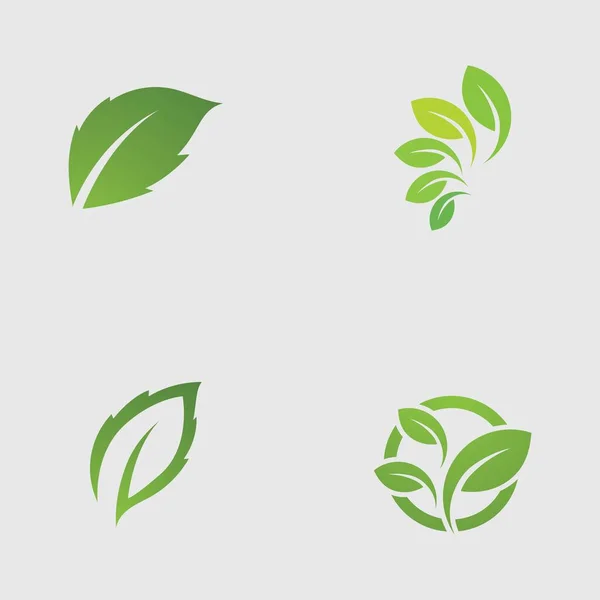 Logos Verde Albero Foglia Ecologia Natura Elemento Vettore Icona — Vettoriale Stock