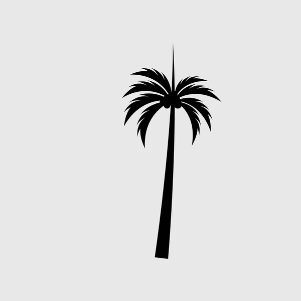 Palm Boom Zomer Logo Template Vector Illustratie — Stockvector